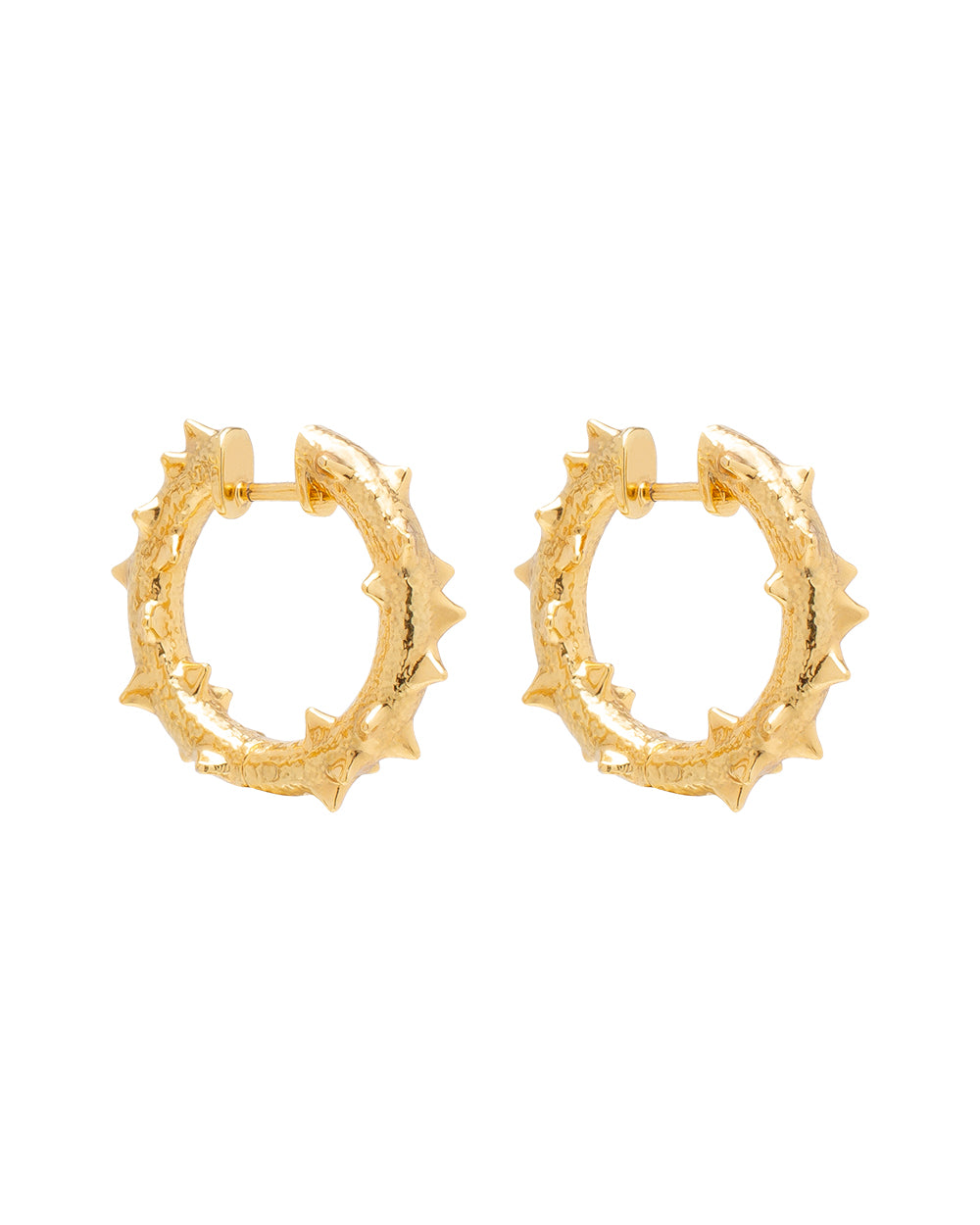 K15 Hoops chestnut earrings made of brass plated with 24K gold / diameter 20 mm