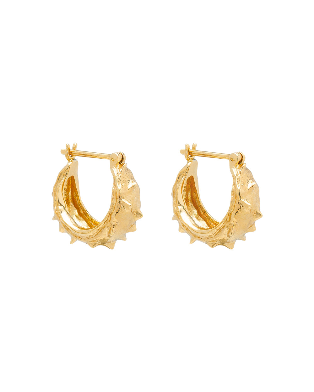 K17 Chestnut skin earrings made of brass plated with 24K gold